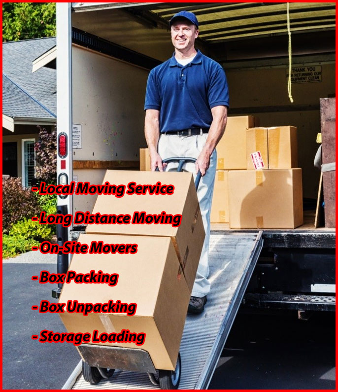 Packers And Movers Noida Sector 94